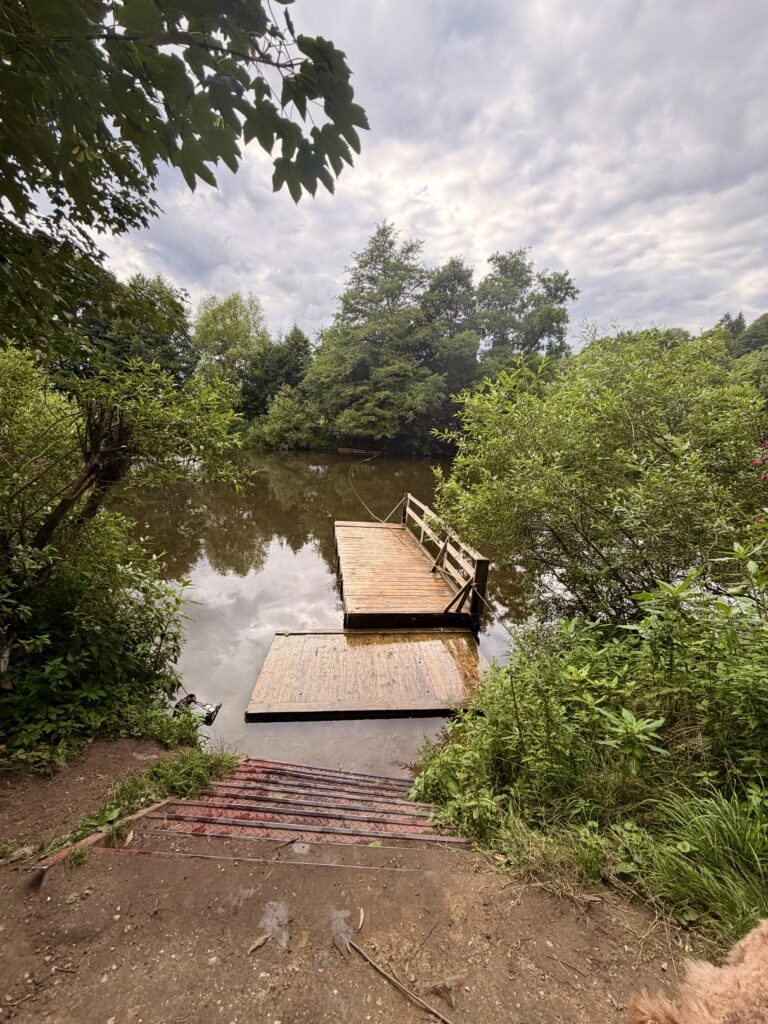 IMG_6417