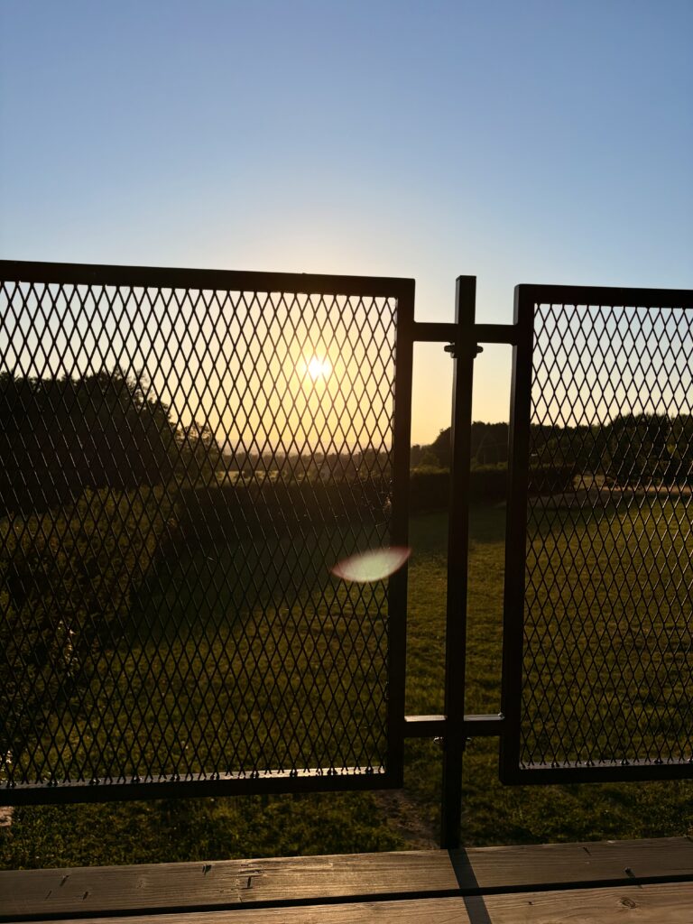 IMG_7312