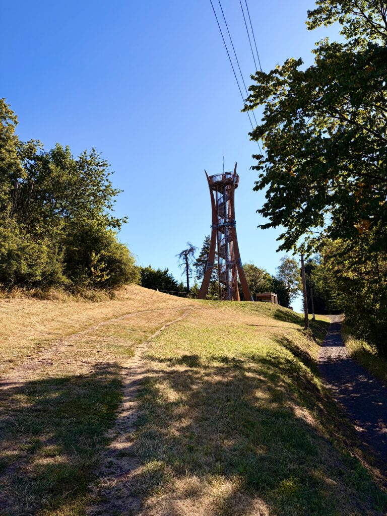 IMG_7348