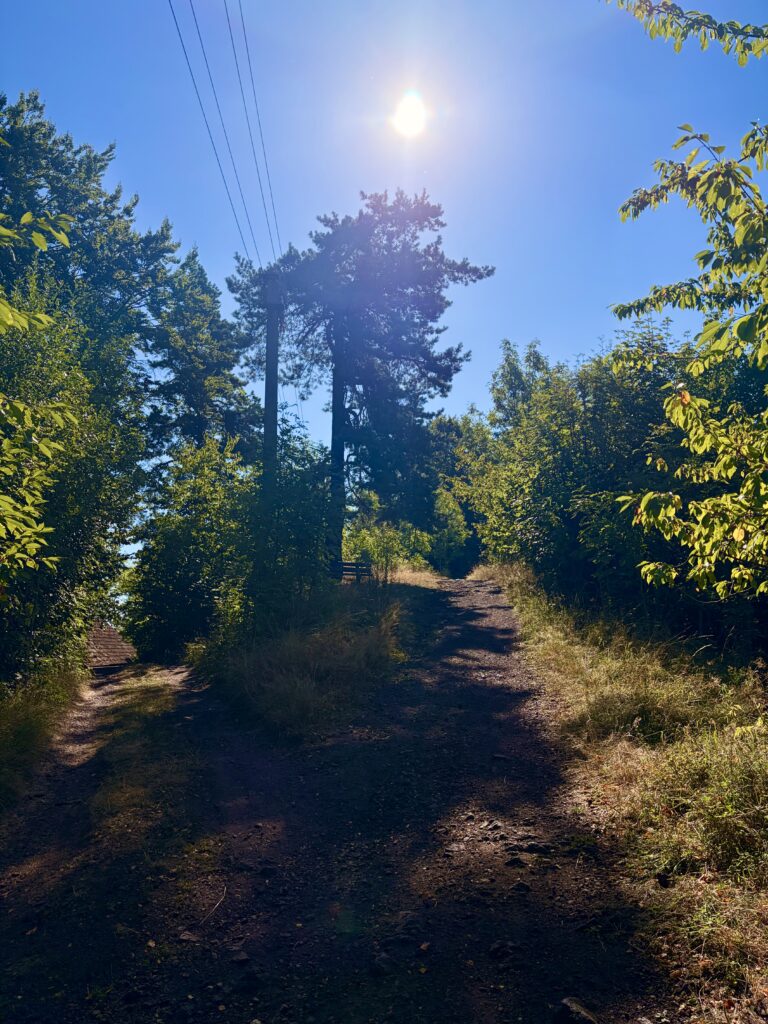 IMG_7357